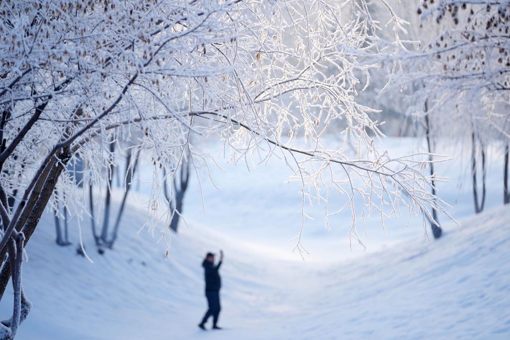 追光丨熱“雪”沸騰，這個(gè)冬天火的不只“爾濱”